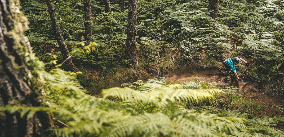 Electric Mountain Bikes Melbourne & Online