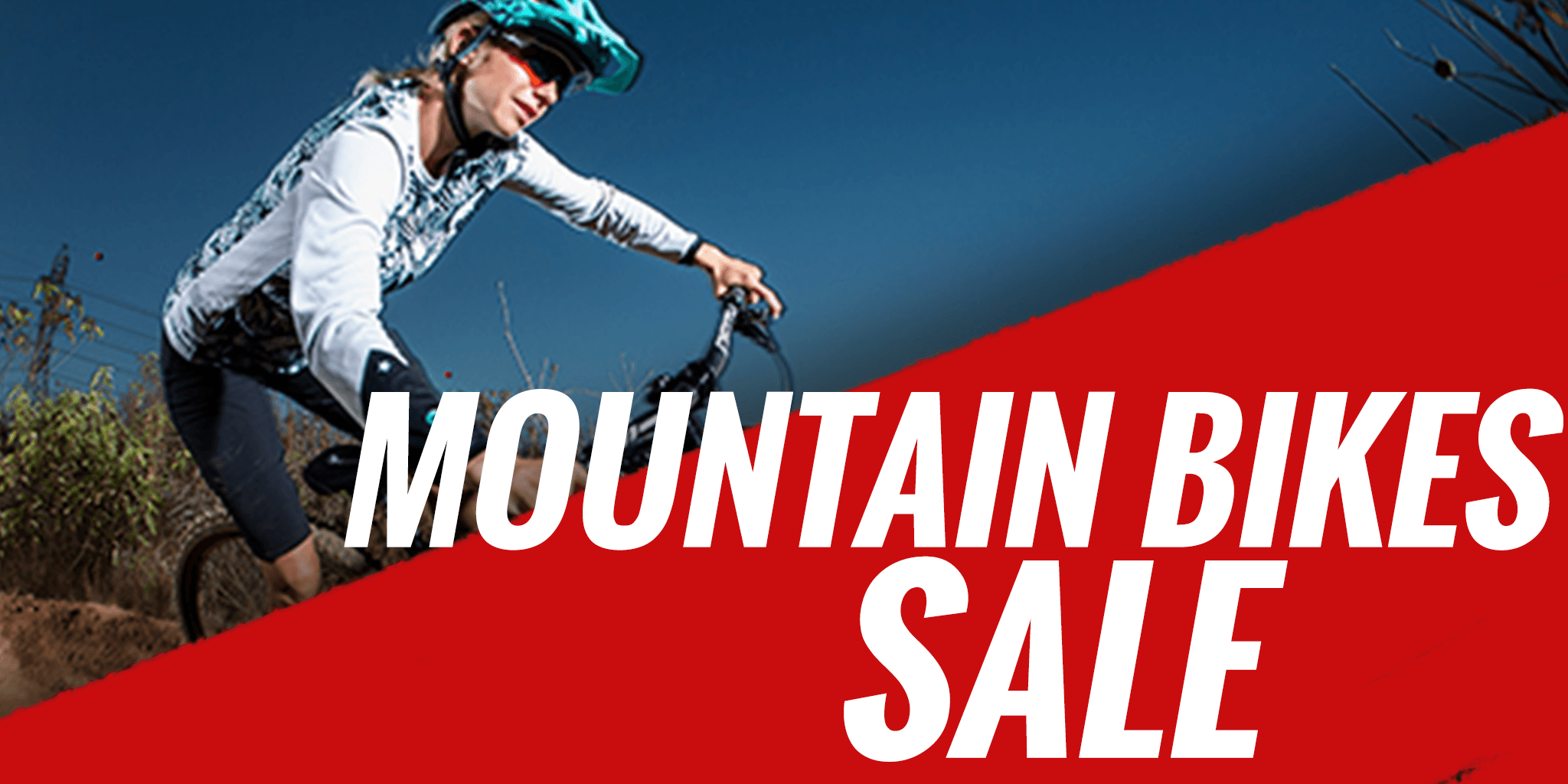 Blue mountain discount bikes for sale