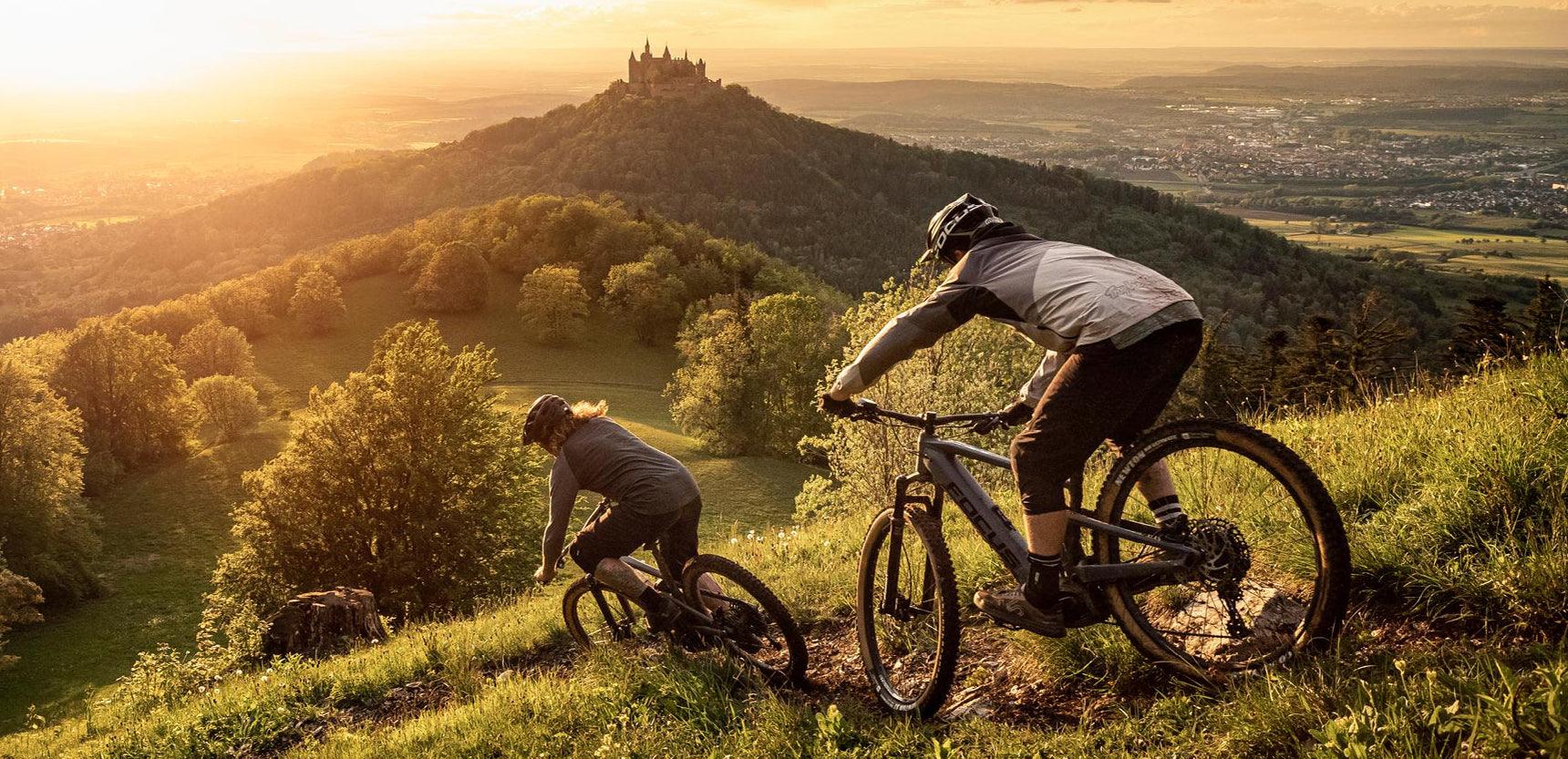 collective bikes saddle