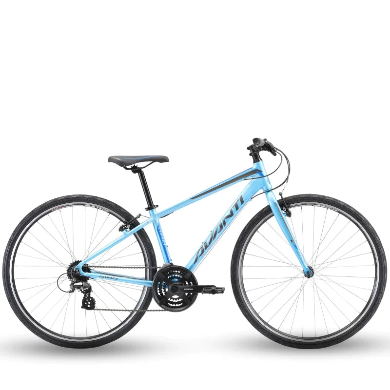 Avanti road bikes sales