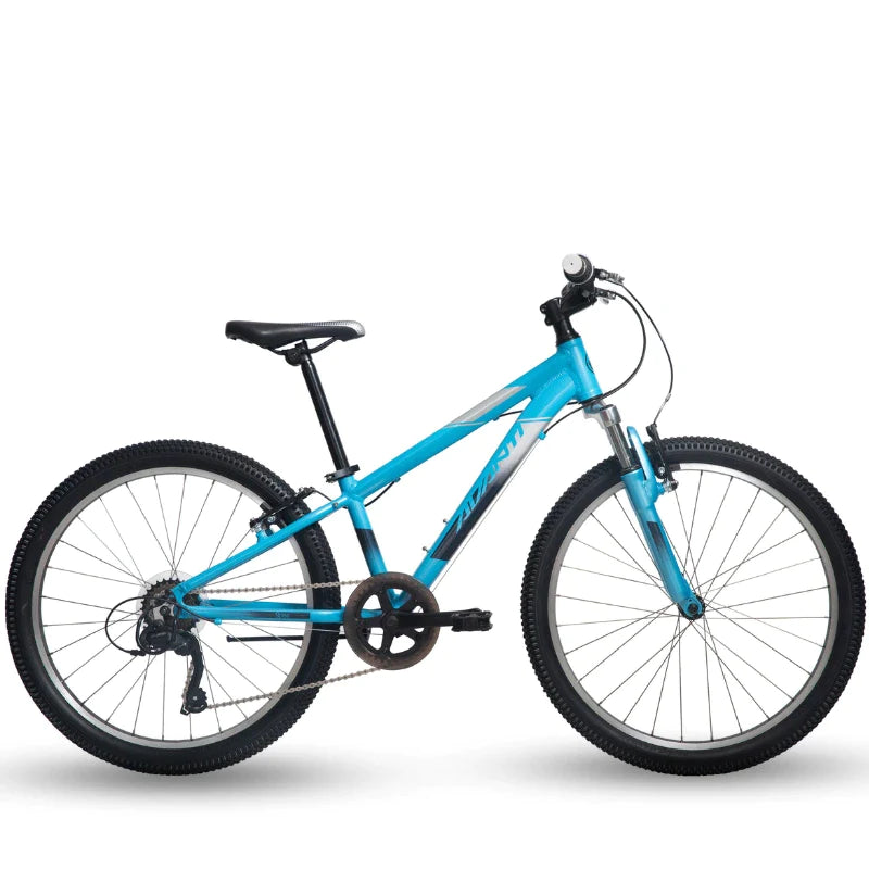 Blue bike 24 2024 inch