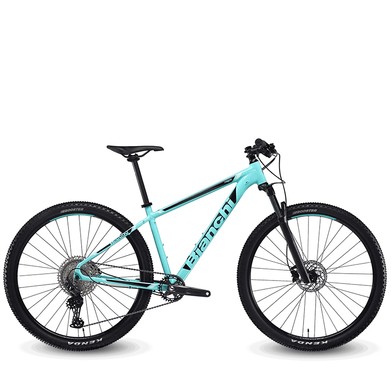 Bianchi top downhill bike