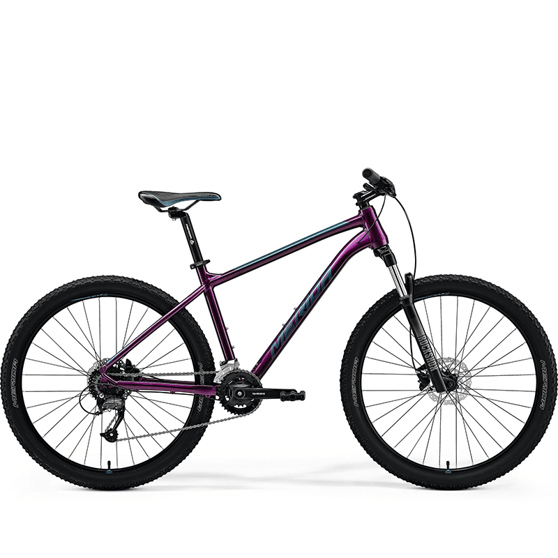purple mountain bikes for women