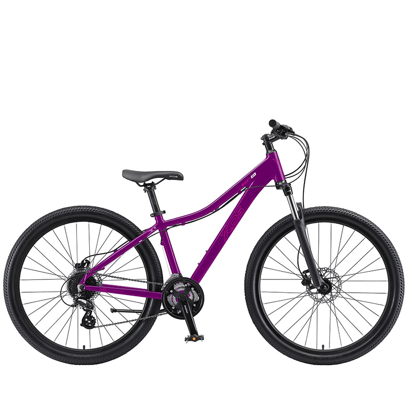XDS Swift 24" MTB - Purple Rain - bikes.com.au