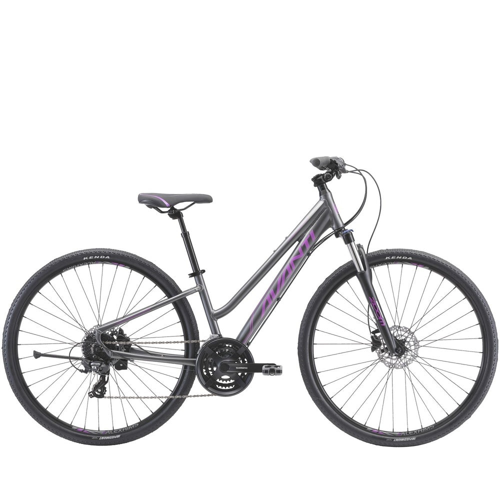 Avanti Discovery 2 Low Hybrid Bike Titanium