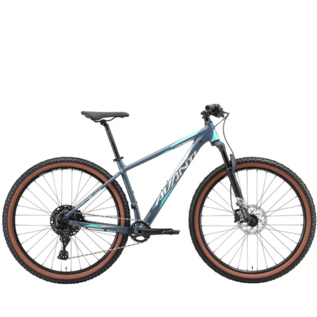 Avanti Competitor 1 Hardtail Mountain Bike - Steel Blue