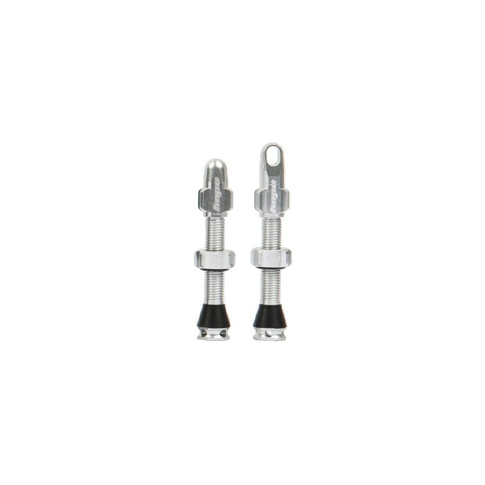 Hope Tubeless Valve (Pair) - Silver