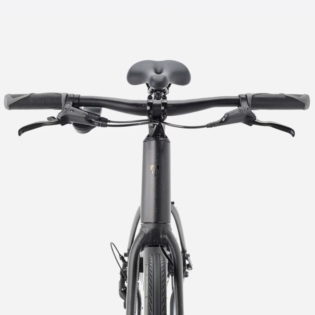 Trek FX 2 Stepover - Gen 4 - Carbon Dark Grey